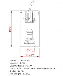 Toress SM Acid