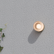 Calibo Gull Round Frosted Acrylic 3CCT LED Exterior Wall Light photo 4