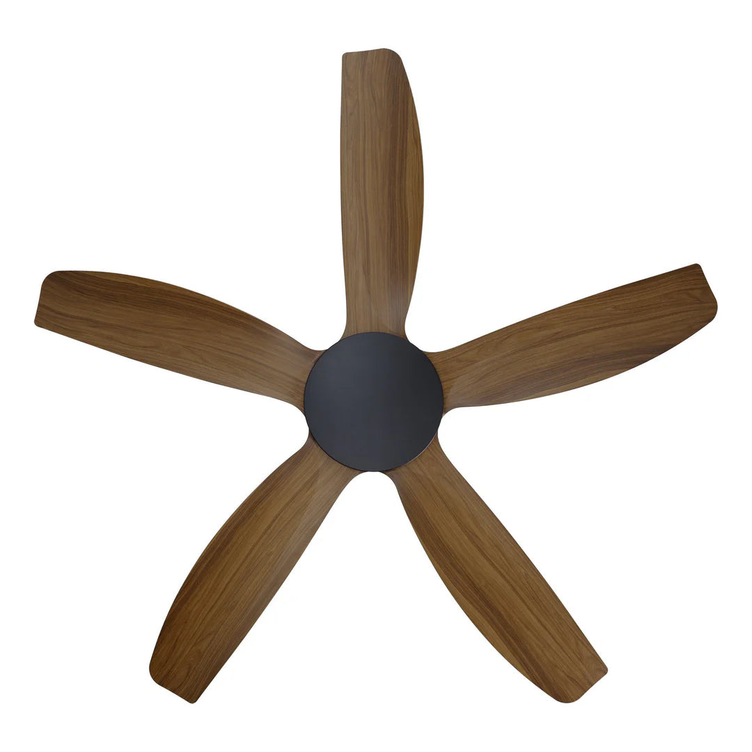 Miami DC Ceiling Fan