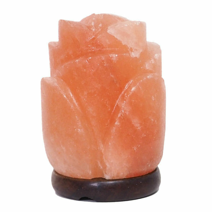 Rose Salt Lamp – Timber Base (12V – 12W)