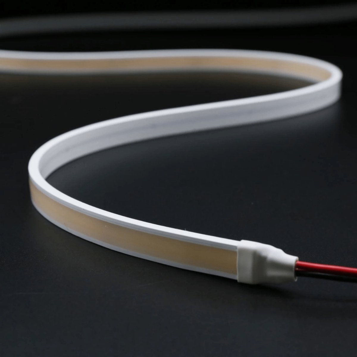 10mm | 10W/m 3000ºK | IP68 | COB Dot Free LED Strip Light – Cosmo ...