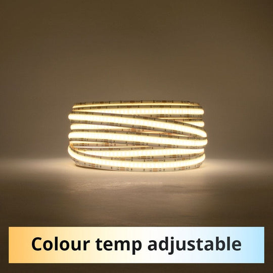 12mm | 24W/m DTW 2700K - 6500K | IP20 | COB Dot Free LED Strip Light