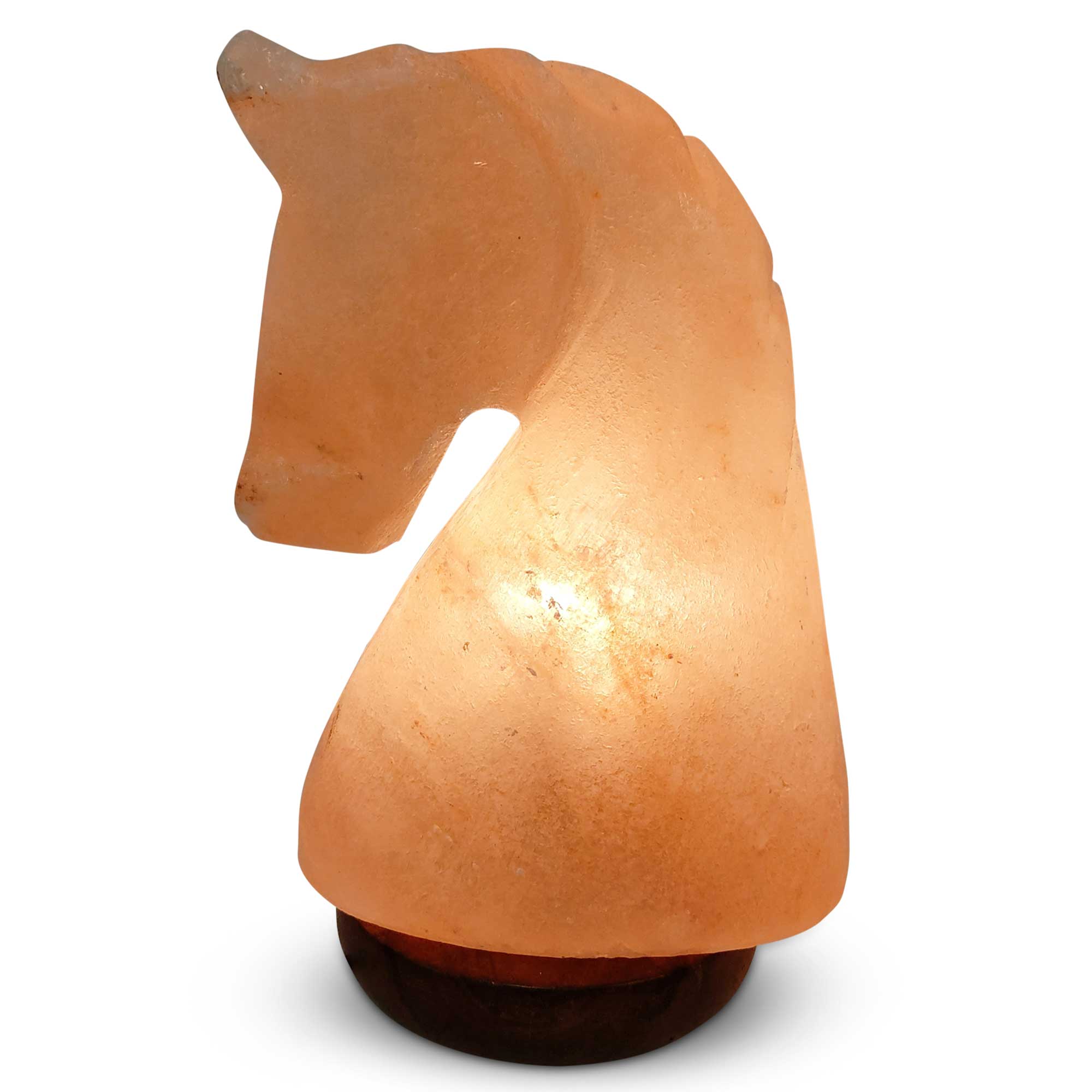 Himalayan Salt Lamp Carved Shape Natural Pink Crystal Rock Light Decor-Himalayan products-The Himalayan Salt Collective