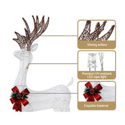 Christmas Lights Motif LED Rope Reindeer Waterproof Outdoor photo 6