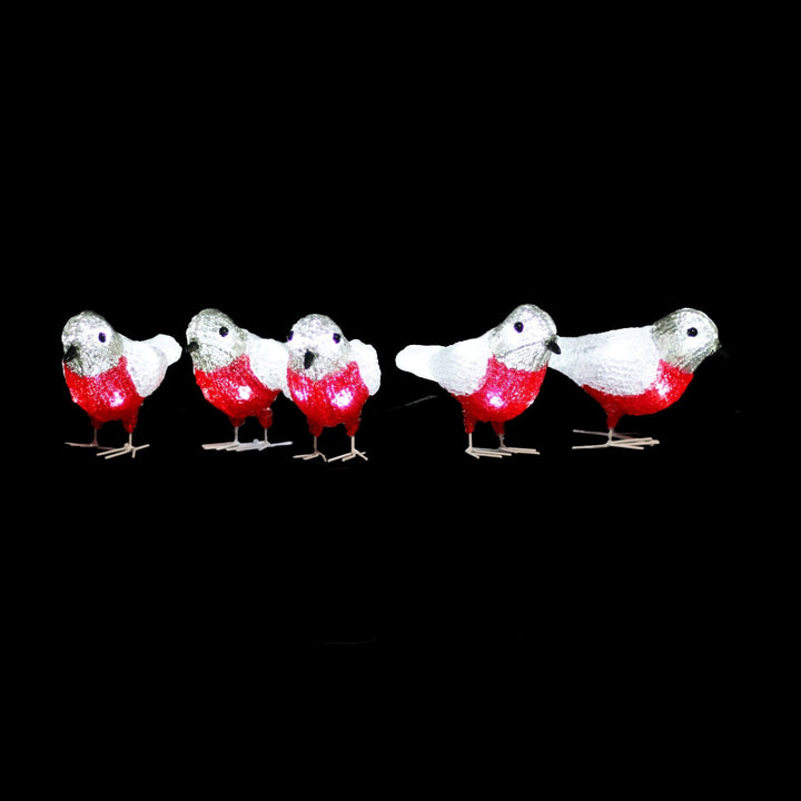 Acrylic Baby Bird (5pcs/set)-Christmas Figure-Lexi Lighting